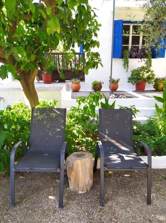 Kampos Marathokampou Stamoulis Apartments מראה חיצוני תמונה