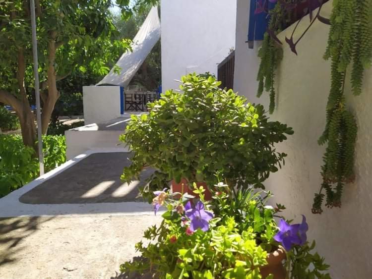 Kampos Marathokampou Stamoulis Apartments מראה חיצוני תמונה