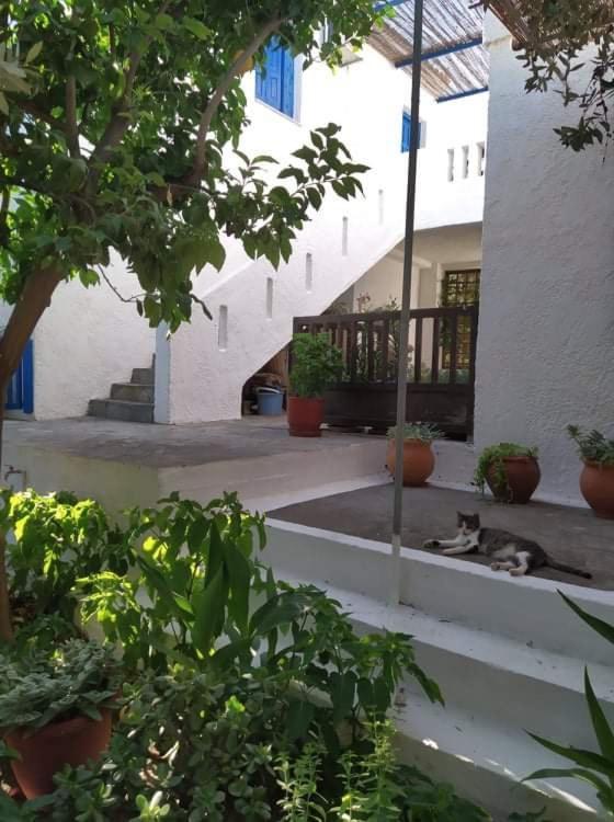 Kampos Marathokampou Stamoulis Apartments מראה חיצוני תמונה